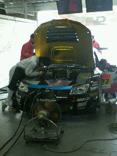 光る目で、点検中!