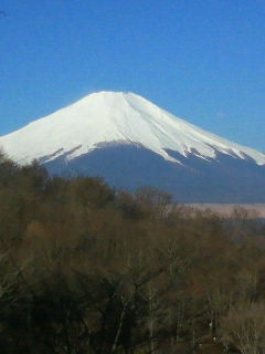 癒しの富士山