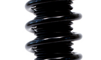 SSA_f_02.jpg