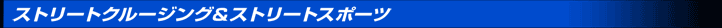 ストリート・車高調サスキット