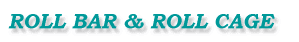 ROLL BAR & ROLL CAGE 