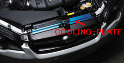 Radiator cooling plate
