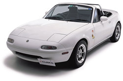 License plate offset stay