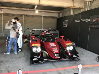 マツダファンフェスタ開催中！