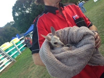 APRCクイーンズランド