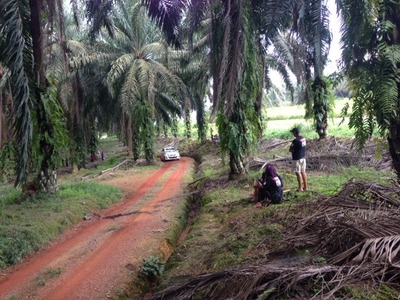 APRCマレーシアンラリー SSロード