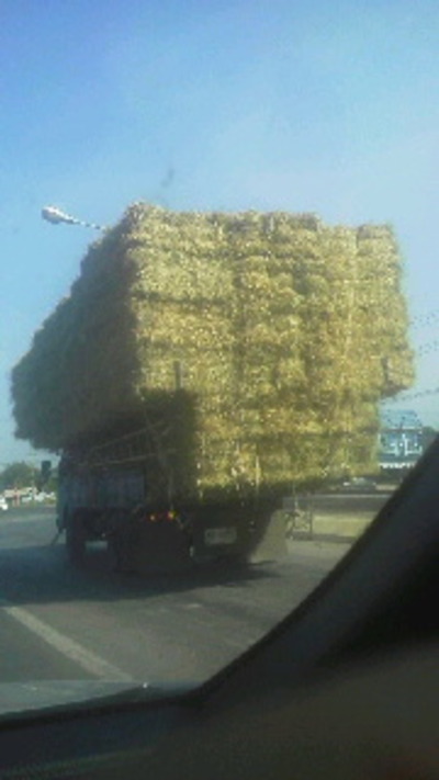 APRCタイ運送状況