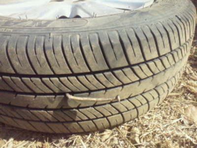 ラリータイランドギリギリセーフのレッキ