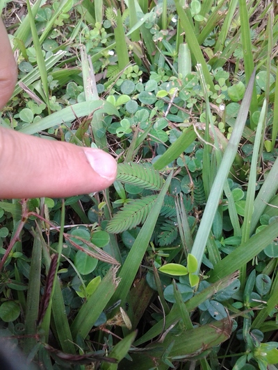 レッキこぼれ話【Touch-me-not】