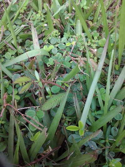 レッキこぼれ話【Touch-me-not】