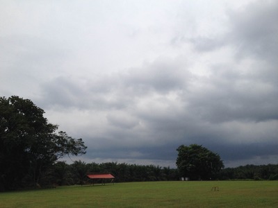 レッキこぼれ話【Touch-me-not】