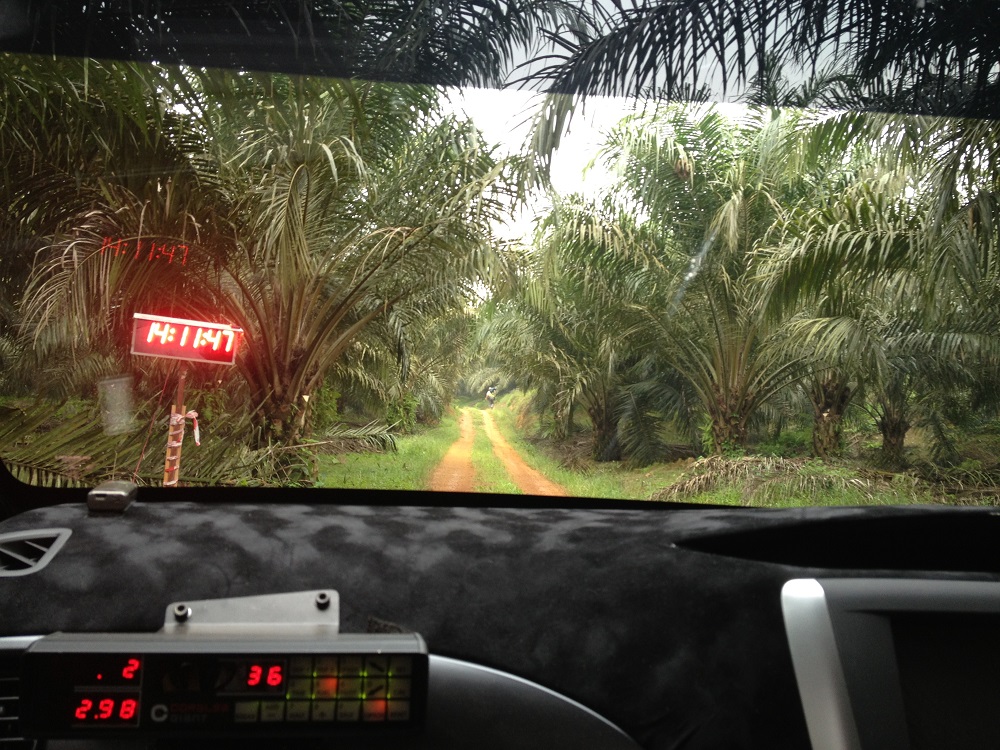 APRC Rd.4 マレーシアンラリー　炭山選手テストランオンボード