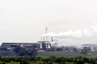 パームオイルの工場