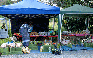 フルーツ、野菜販売？