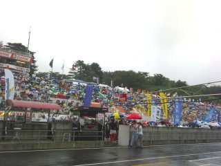 スタンドは傘の花