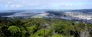 各国のヨットやクルーザー