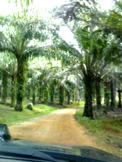 レッキに２日目